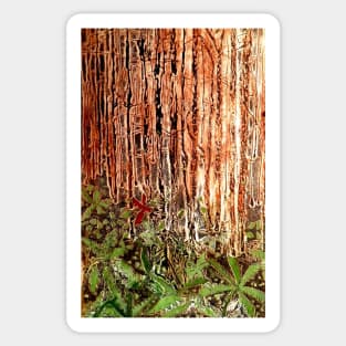 Rain Forest Sticker